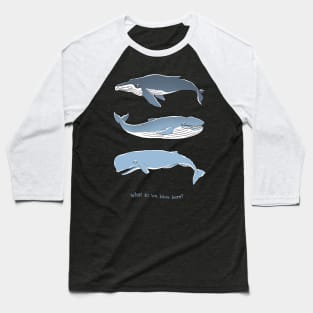 Whale, Whale, Whale Baseball T-Shirt